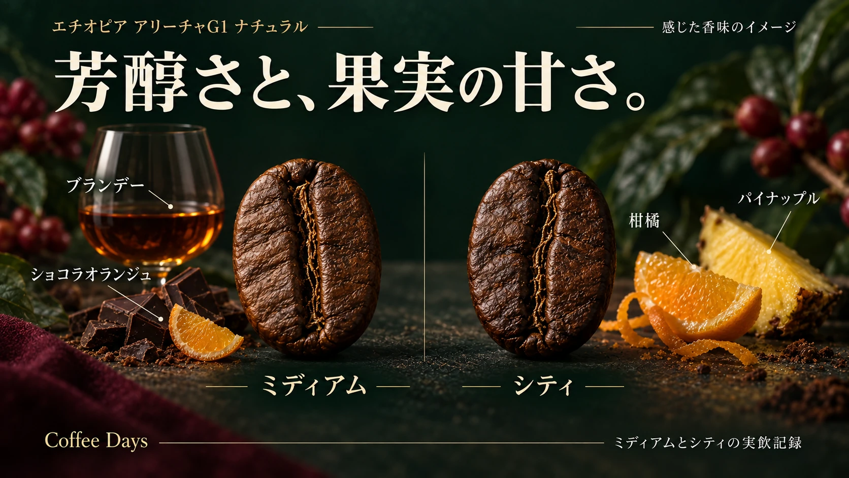 アリーチャのミディアムとシティで感じた香味を、豆とブランデー、ショコラオランジュ、柑橘、パイナップルで表したイメージ