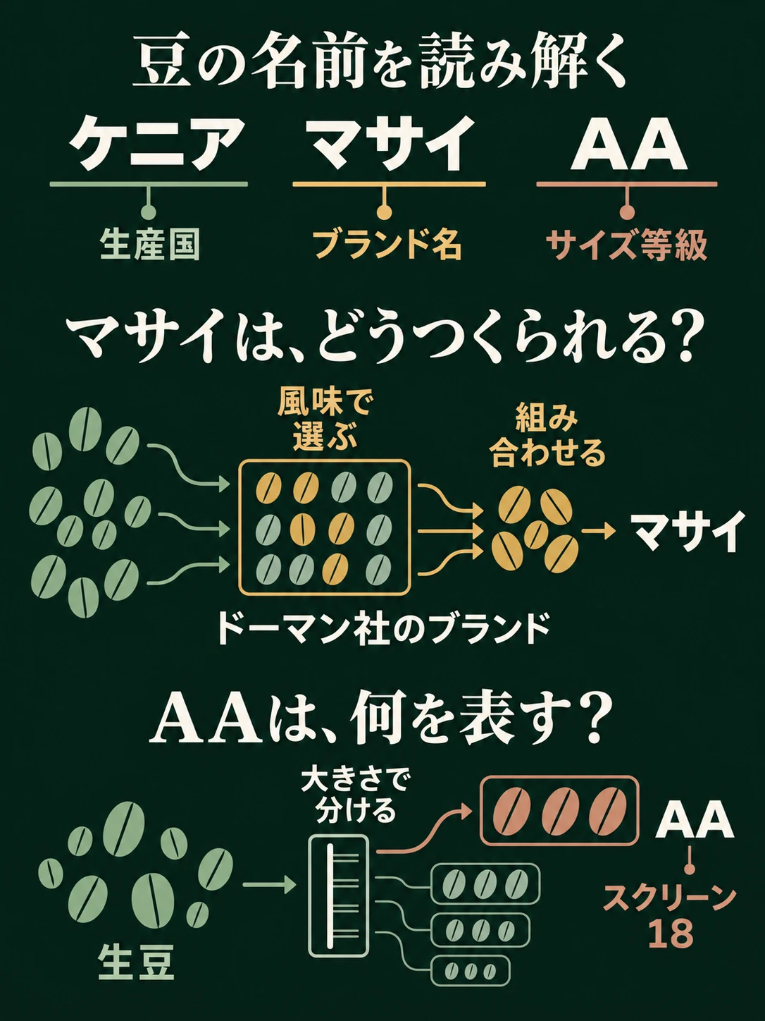 名称を生産国・ブランド名・サイズ等級に分解し、マサイの原料選別とブレンド、AA（スクリーン18）のサイズ分類を示すインフォグラフィック