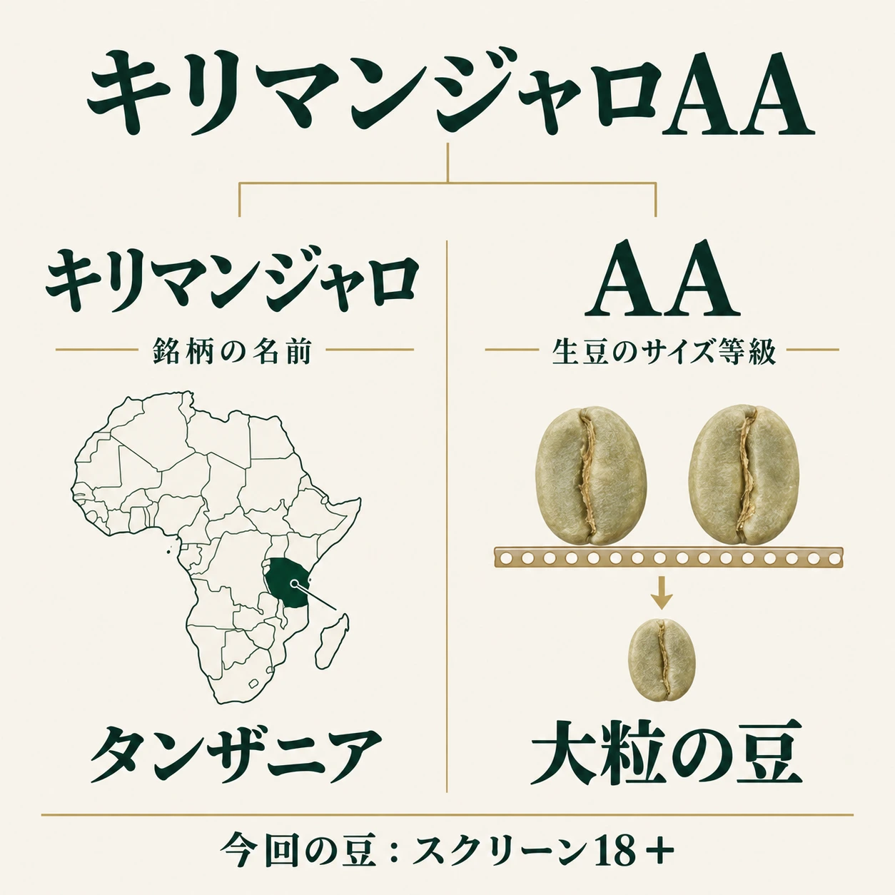 キリマンジャロはタンザニアの銘柄名、AAは大粒の生豆のサイズ等級