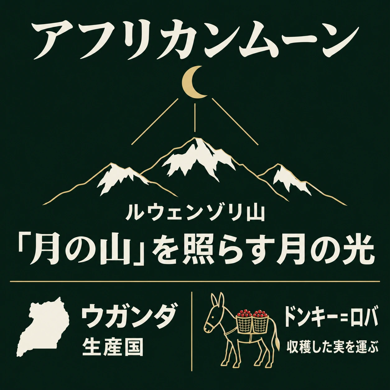 アフリカンムーンの名前はルウェンゾリ「月の山」を照らす月の光に由来。ウガンダは生産国、ドンキーは収穫した実を運ぶロバ