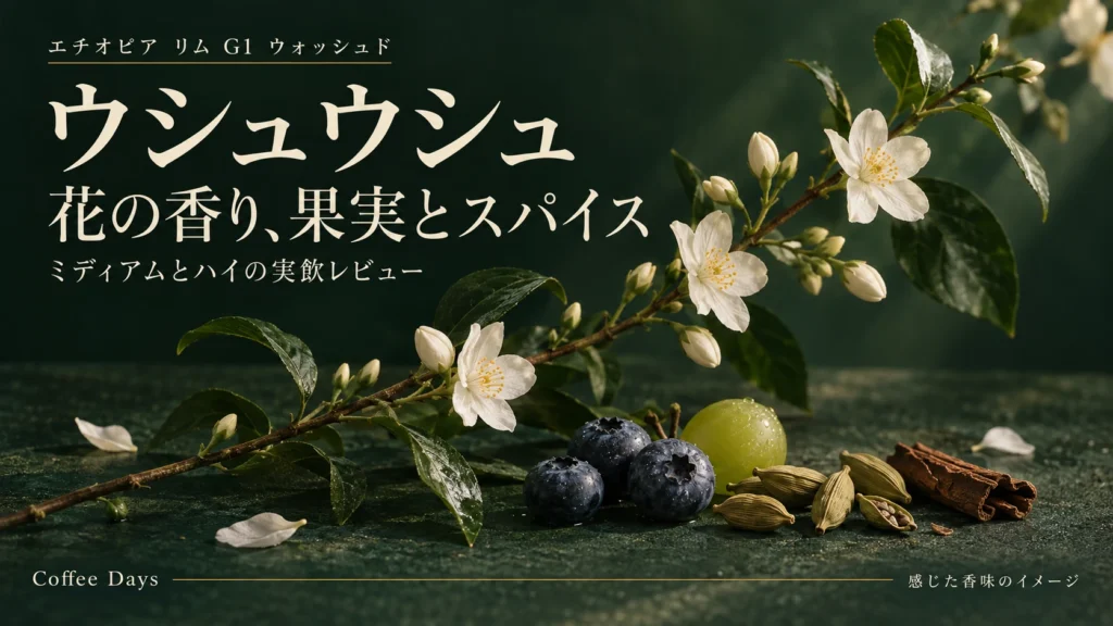 ウシュウシュの花・果実・スパイスの香味を表すイメージ